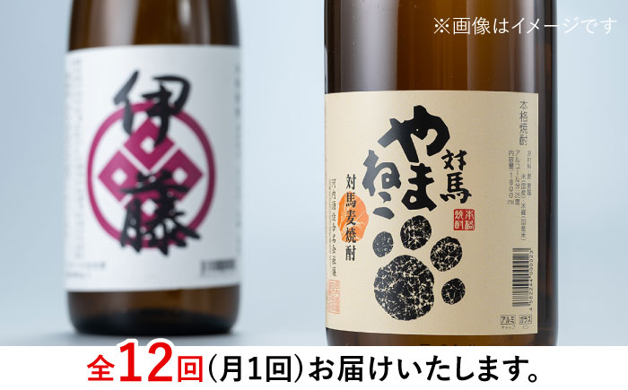 【全12回定期便】芋焼酎 麦米焼酎 本格焼酎一升瓶 2本 セット 《対馬市》【白嶽酒造株式会社】 [WAN032]