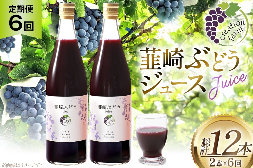 
                  ジュース 6回 定期便 ぶどう 100％ ストレート 国産 韮崎ブドウジュース 720ml 2本 [creation farm 山梨県 韮崎市 20745506] ぶどうジュース 葡萄 ストレートジュース マスカットベーリーA 農園 送料無料 
                