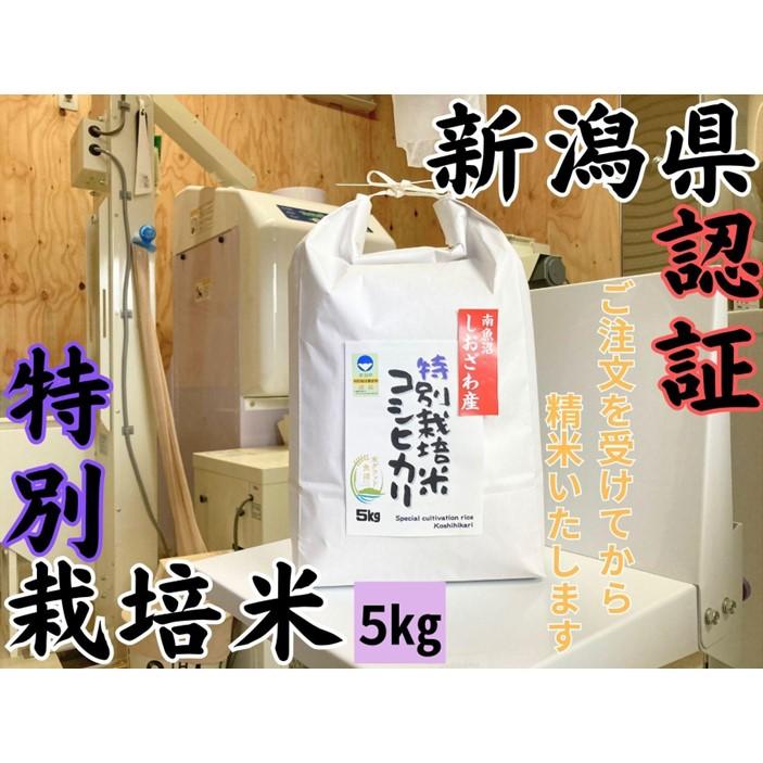 【ふるさと納税】安心安全の新潟県南魚沼産特別栽培米コシヒカリ　5kg　新潟県認証 | お米 こめ 白米 コシヒカリ 食品 人気 おすすめ 送料無料 魚沼 南魚沼 南魚沼市 新潟県産 新潟県 精米 産直 産地直送 お取り寄せ お楽しみ