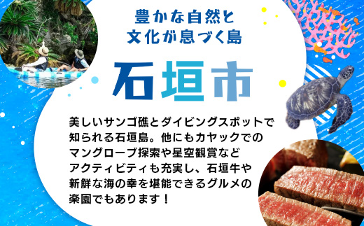 HISの沖縄県石垣市の対象ツアーに使えるふるさと納税クーポン券60,000円分 HS-5