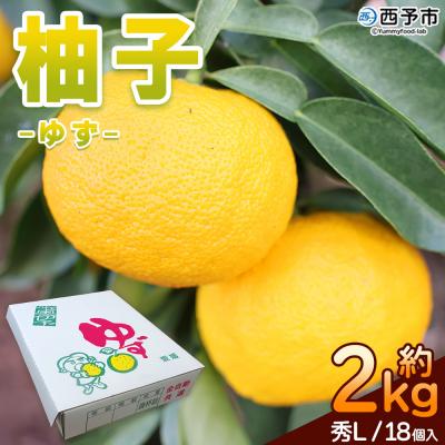 ふるさと納税 西予市 柚子 秀 Lサイズ 18個