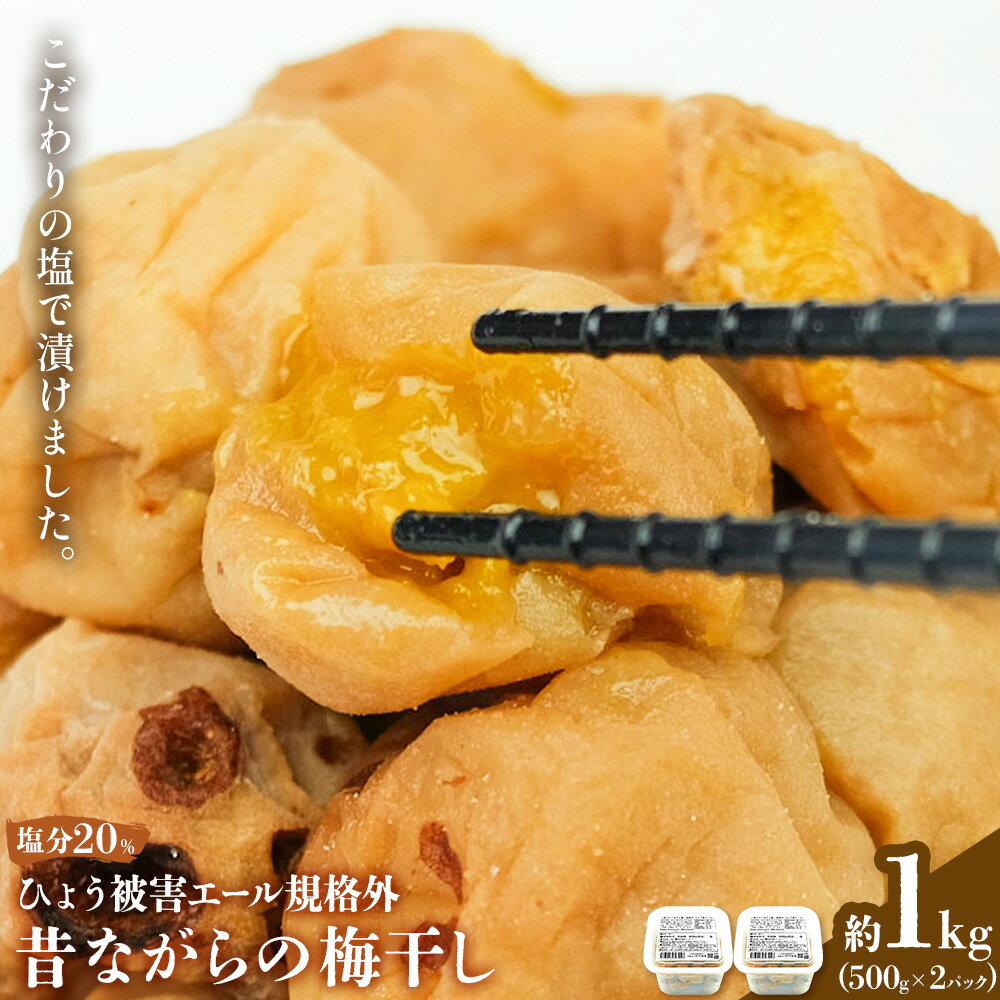 【ふるさと納税】ひょう被害あり昔ながらの梅干し 塩のみで漬けたすっぱい梅干し 約1kg 500g 2パック 農業法人 株式会社紀州梅香《30日以内に出荷予定(土日祝除く)》 和歌山県 日高川町 梅 うめ フルーツ 果物