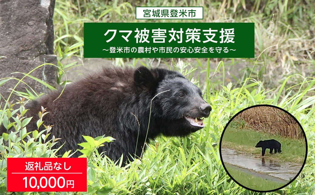 
                  ＜返礼品なし＞宮城県登米市 クマ被害対策支援 登米市の農村や市民の安心安全を守る 選べる支援額 tm000-km04
                