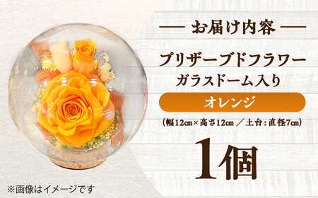プリザーブドフラワー　ガラスドーム (オレンジ) / 花 プレゼント 贈答用 ガラス 母の日 父の日 入学式 卒業式 菊陽町 熊本県【株式会社 美向】[BHDC001]