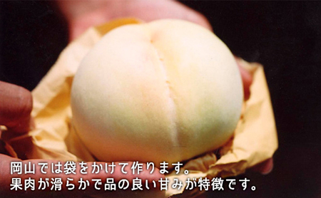桃 ぶどう 2026年 白桃 晩生種 2玉 シャイン マスカット 1房 合計約1.0kg  岡山 桃 シャインマスカット