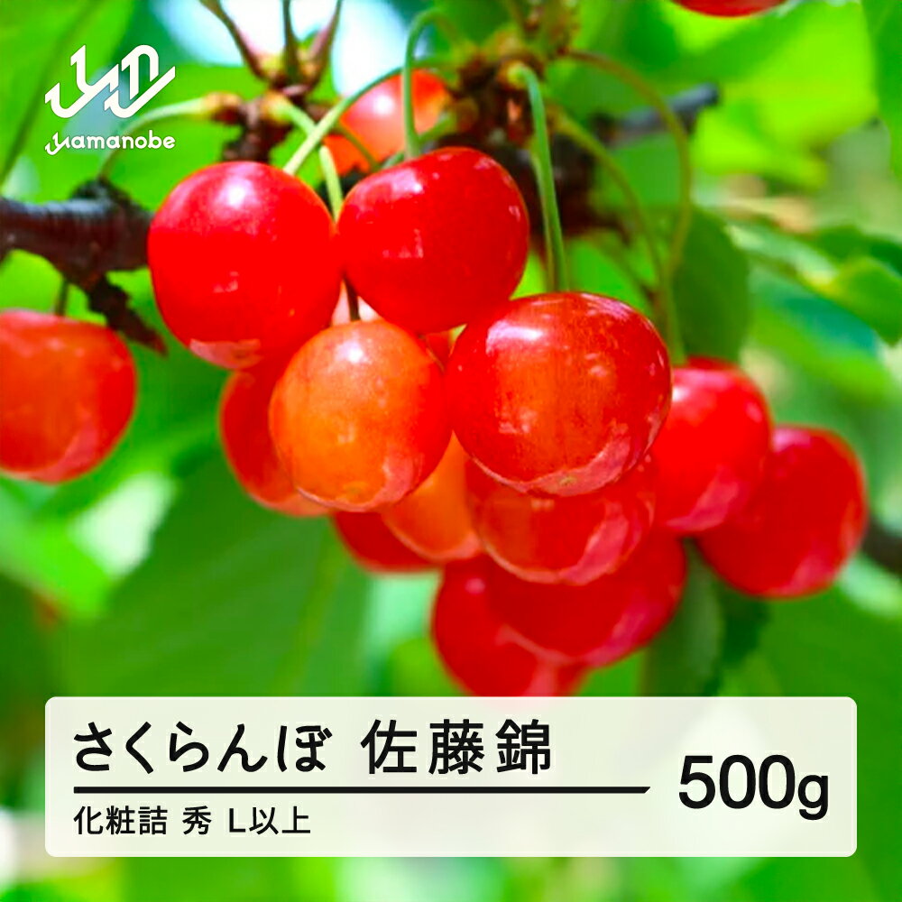 【ふるさと納税】《先行予約》贈答用 2025年 山形県産 さくらんぼ 相澤農園 佐藤錦 500g 秀L以上・化粧詰 2025年6月中旬から順次発送 F20A-112 ※沖縄・離島への配送不可