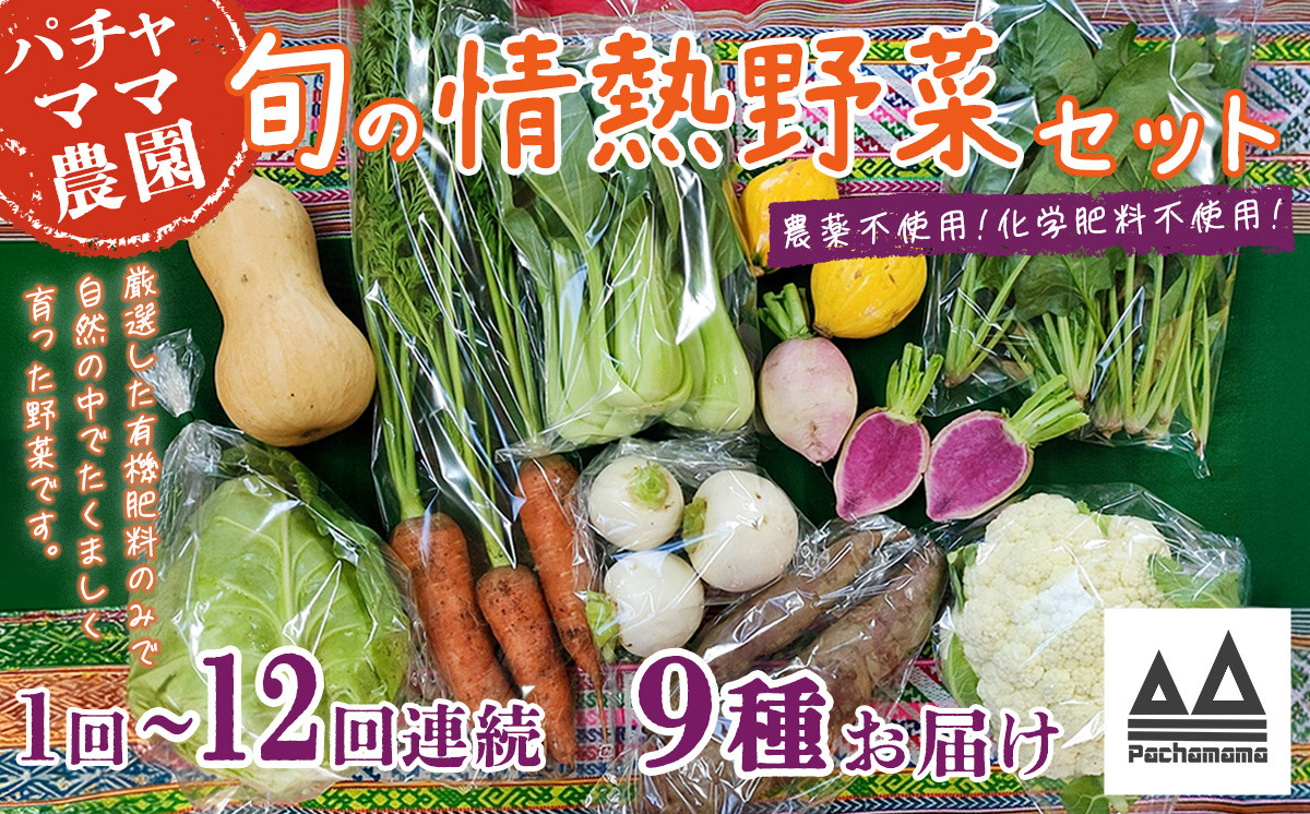 
            【選べる お届け回数】農園自慢の情熱野菜セット（9品）【定期便 野菜 詰め合わせ お任せ 季節物 セット 山芋 パセリ わさび菜 ポップコーン かぶ 人参 里芋 たまねぎ 玉ねぎ ルッコラ ほうれん草 春菊 大根 芽キャベツ レタス じゃがいも さつまいも とうもろこし そら豆 枝豆 パクチー ビーツ ほうれん草 キャベツ ピーマン なすトマト かぼちゃ】 
          
