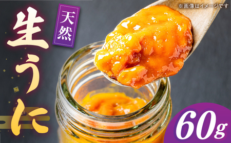 【先行予約】 天然 生うに 60g【2026年5月以降順次発送】[JAQ005] うに