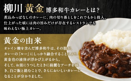 【TVで話題】柳川黄金博多和牛カレー （4箱） カレー レトルト