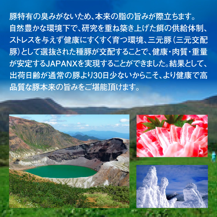 JAPAN X 豚モモ2mmスライス/計2.4kg (200g×12パック・真空包装)