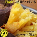 【ふるさと納税】【年内出荷】 訳あり 熟成 紅はるか 5kg (1箱 ) さつまいも 鹿児島県産 | 野菜 やさい 食品 人気 おすすめ 送料無料 感動さつまいも