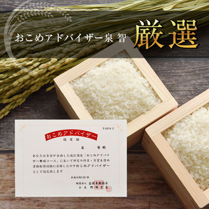 【6回定期便】お米アドバイザー 泉 智が厳選！ 栃木県産コシヒカリ 10kg