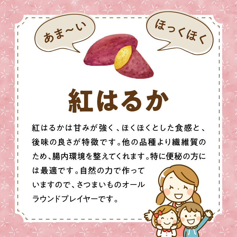 干し芋 食べ比べセット 紅はるか シルクスイート 100g 各2袋　N063-A0275